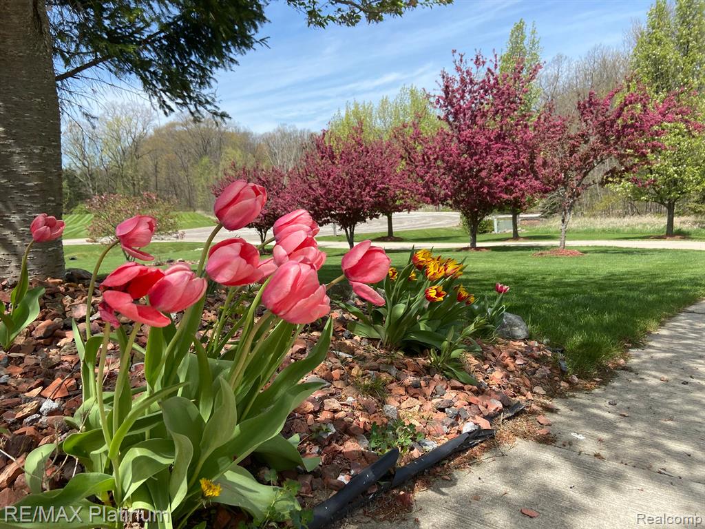 7186 GRANGER DRIVE, Howell, MI 48855 — Photo 38