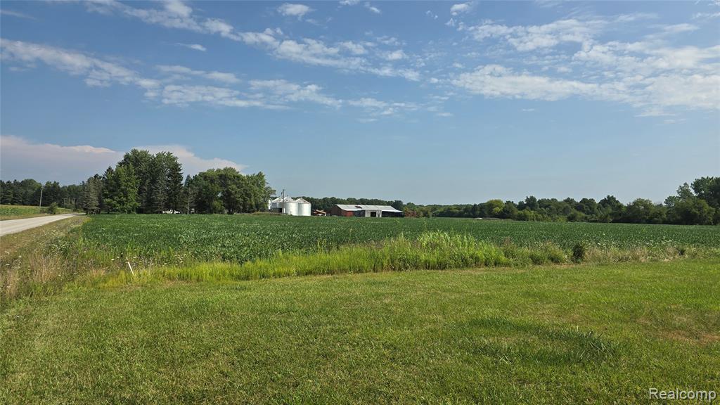 1695 Stoddard Road, Columbus, MI — Photo 33