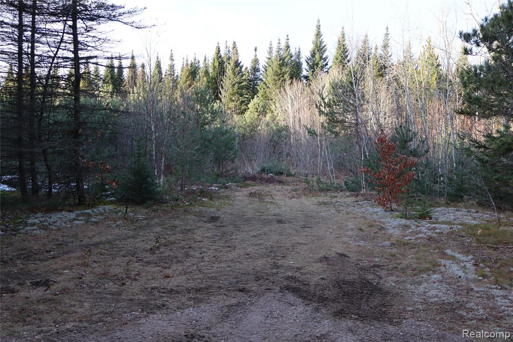 #A W Pendills Lake Road, Brimley, MI 49715 — Photo 53