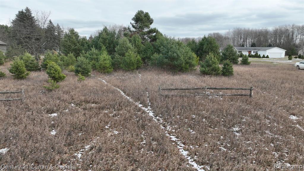 Search Homes for Sale