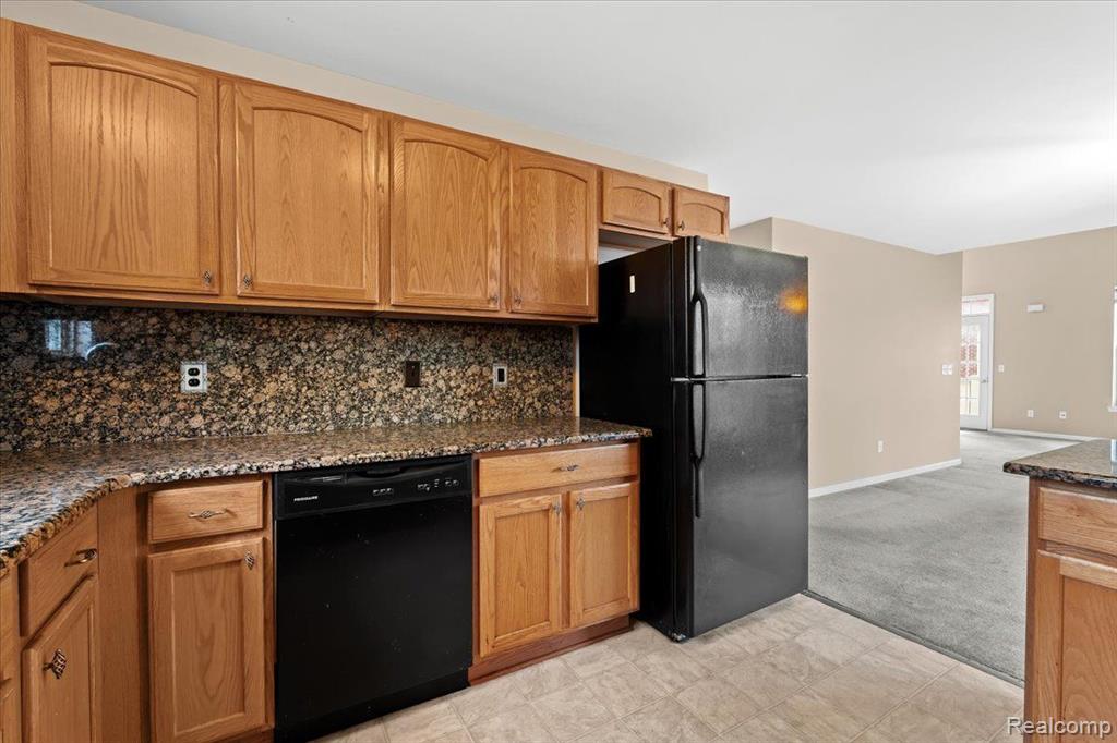 1039 FOUNTAIN VIEW Circle, South Lyon, MI 48178 — Photo 10