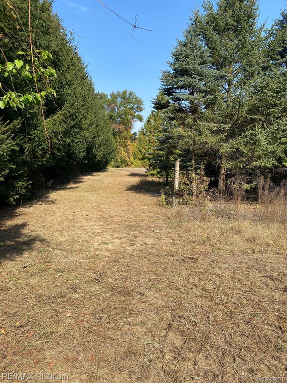 11781 FERDEN Road, Chesaning, MI 48616 — Photo 24