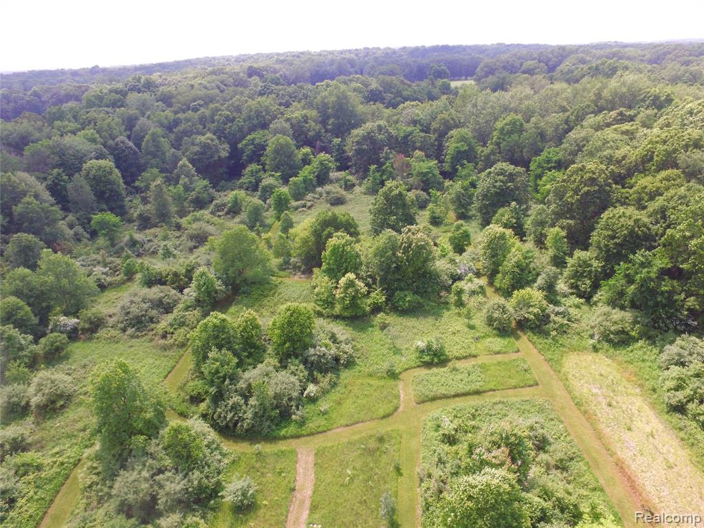 16744 Arnold Road, Gregory, MI 48137 — Photo 45