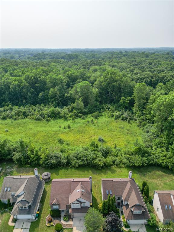 5562 Cary Drive, Ypsilanti, MI 48197 — Photo 46