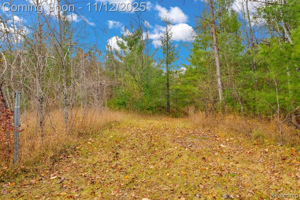 495 N M 65 Highway N, Curran, MI 48728 — Photo 37