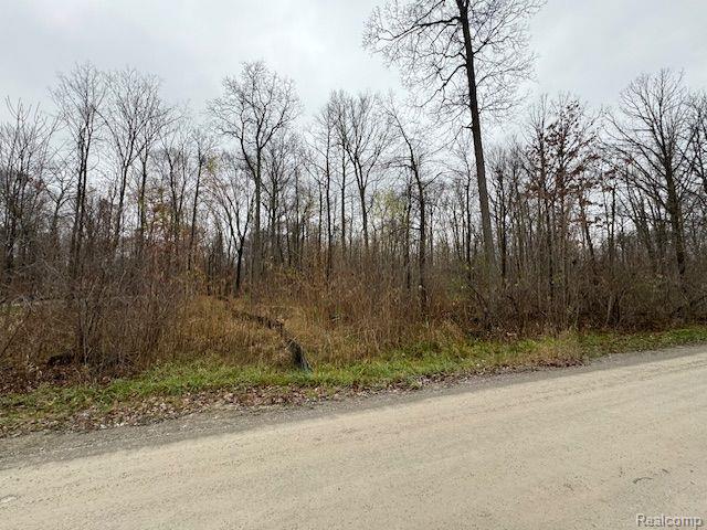 Parcel 2 MCCLEMENTS Road, Brighton, MI 48114 — Photo 7