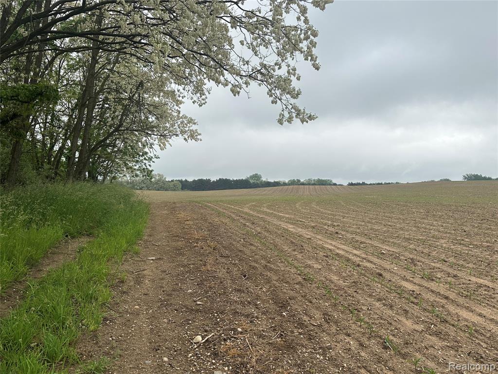 VL Mertz Road, Mayville Vlg, MI 48744 — Photo 22