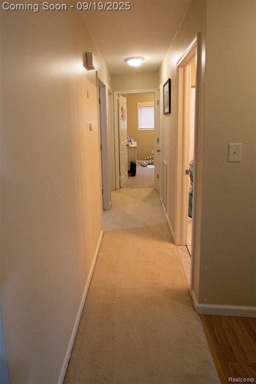 8139 Hedgeway Drive, Shelby Twp, MI 48317 — Photo 24