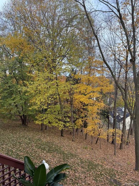 644 East Street, Northville, MI 48167 — Photo 18