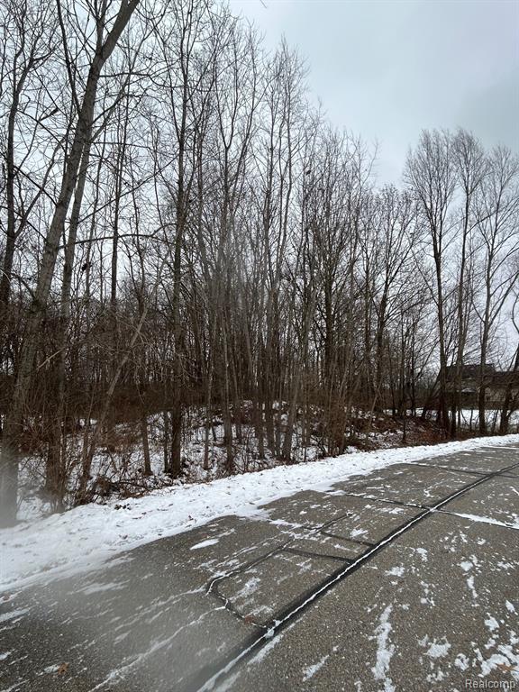 00 Brandi Lane, Fowlerville, MI 48836