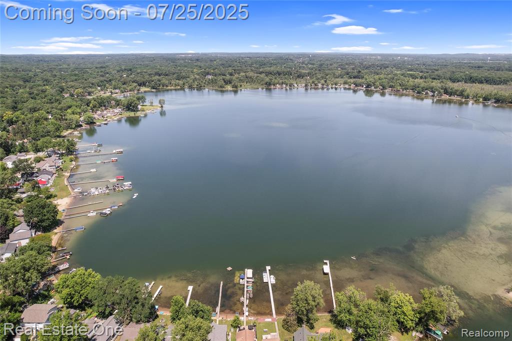 8802 Riverside Drive, Brighton, MI 48116 — Photo 34