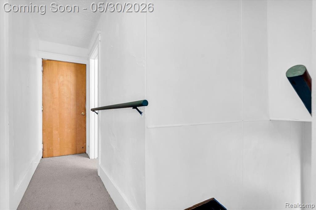 5203 Maplewood Street, Detroit, MI 48204 — Photo 18