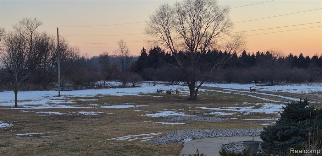 7150 W Mead Road, MI 48879 — Photo 52