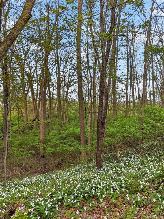 7186 River Road, Flushing, MI 48433 — Photo 44