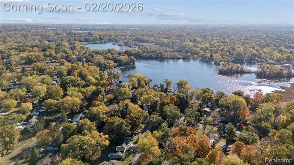 541 Crystalia Street, Commerce Twp, MI 48382 — Photo 58