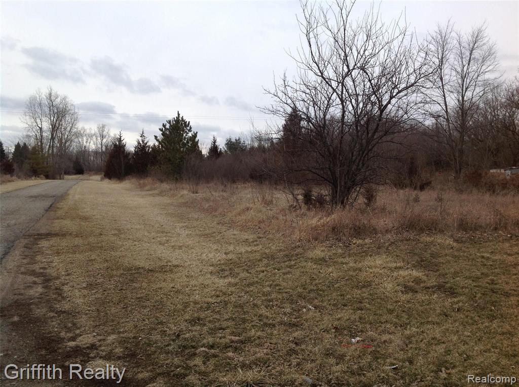 VL MASON RD, Howell, MI 48843 — Photo 2