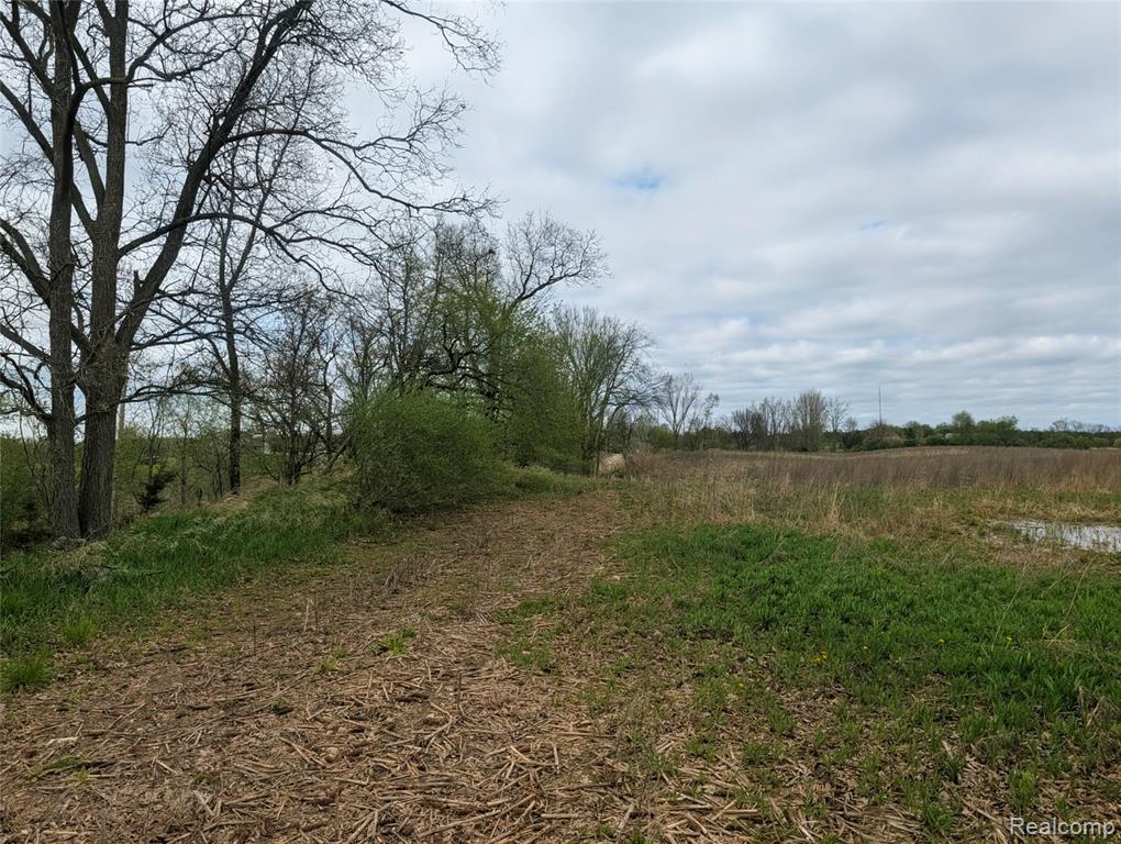 Parcel E Hogan Road, Linden, MI 48451 — Photo 12