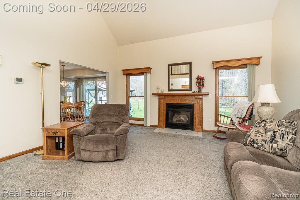 3739 Bethuy Road, Casco, MI 48064 — Photo 6