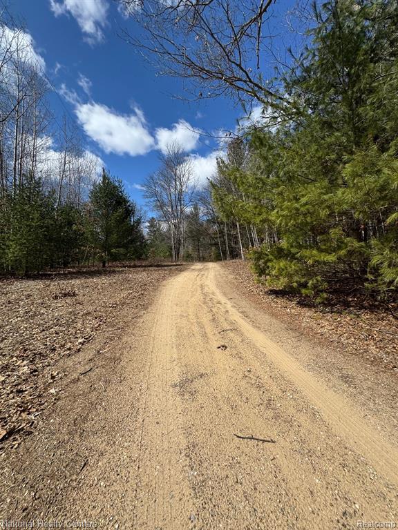 4233 Hardacre Trail, Houghton Lake, MI 48629 — Photo 35