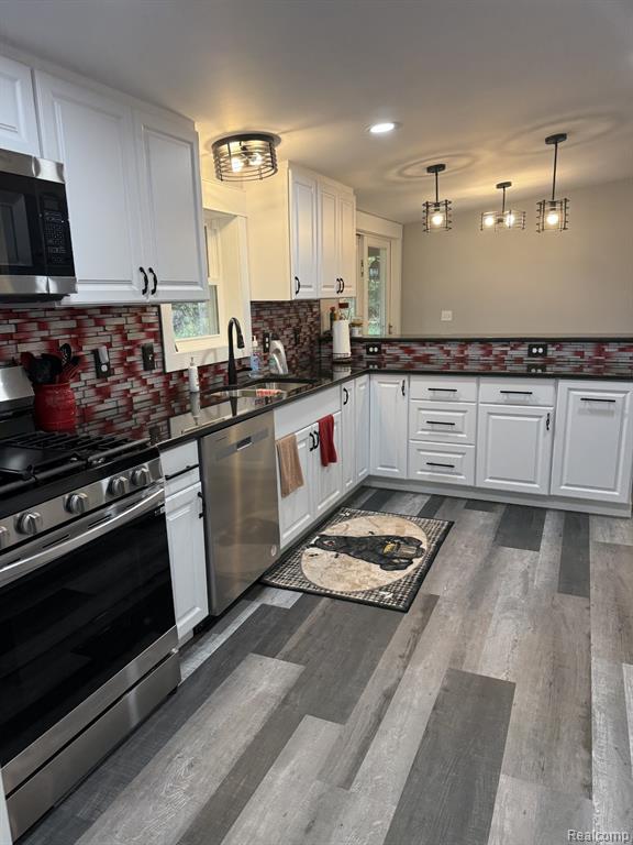 2200 Waterman Road, Mayville Vlg, MI 48744 — Photo 4