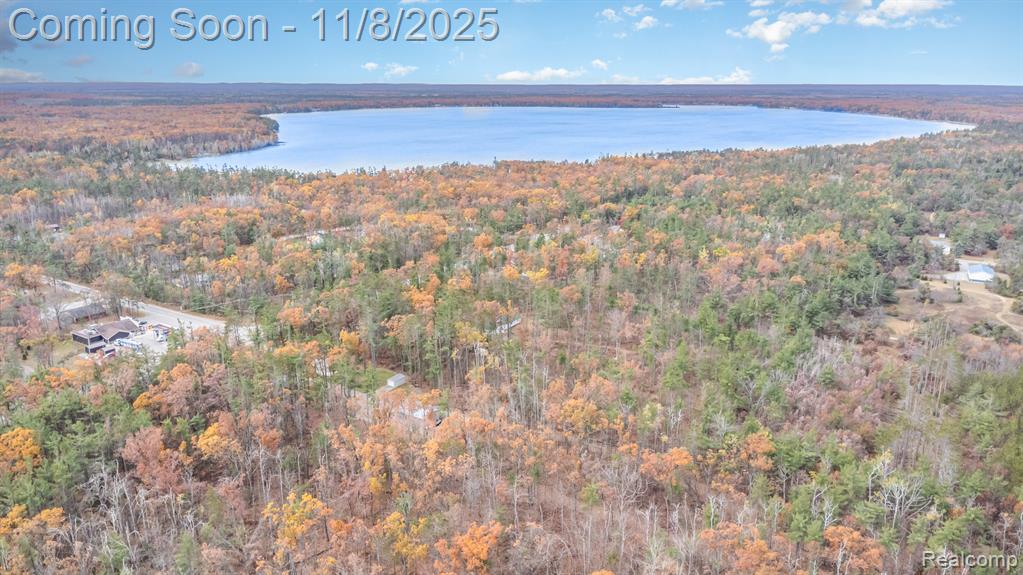 3506 County Road 612, Lewiston, MI 49756 — Photo 24