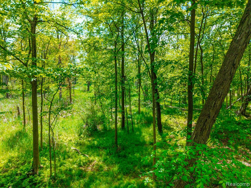 C-1 DOA Lane, Brighton, MI 48114 — Photo 9