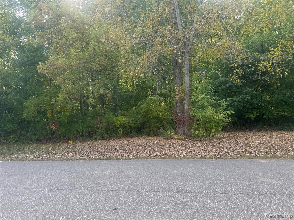2839 Lamotte Street, Marlette, MI 48453 — Photo 32