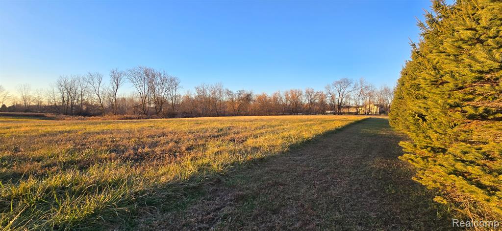 3 Mason Road, Webberville, MI 48892 — Photo 11