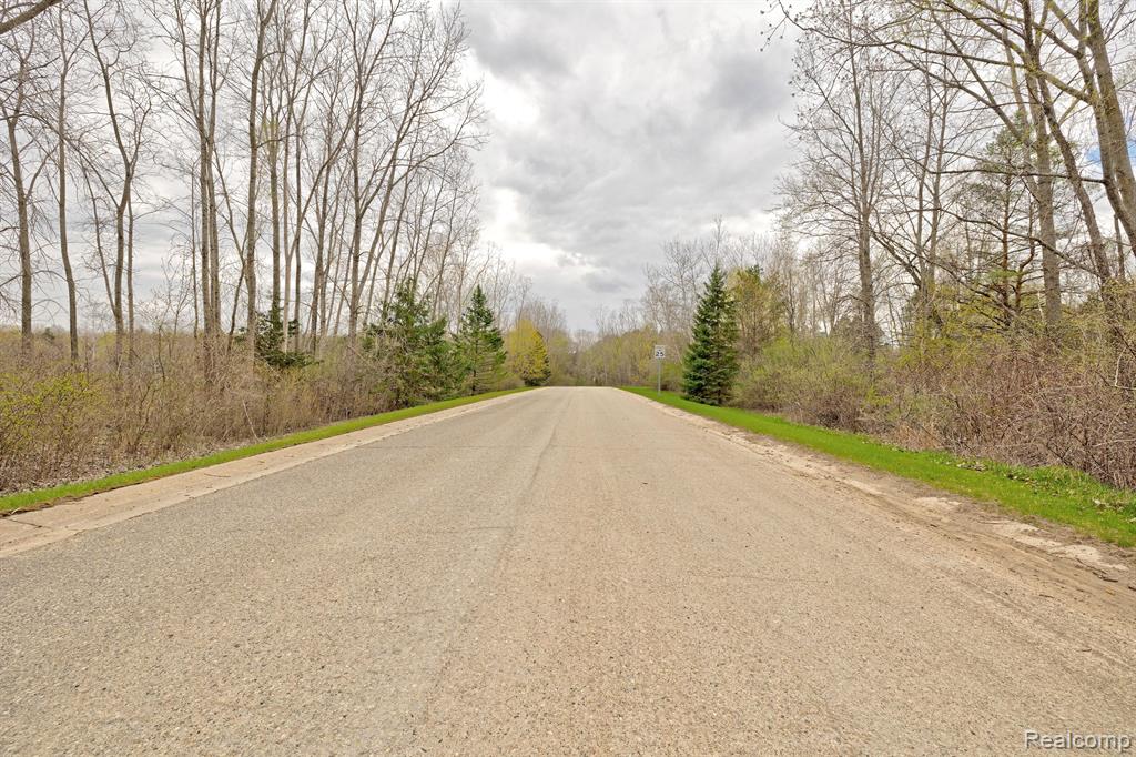 313 Dogwood Lane, Ortonville, MI 48462 — Photo 24