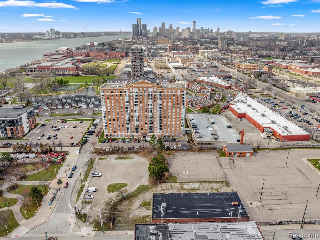260 Mount Elliott Street, Detroit, MI 48207 — Photo 95
