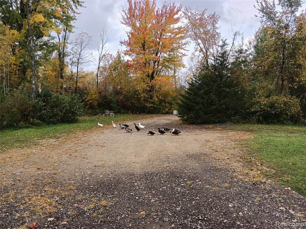 2601 Underwood Road, Caro, MI 48723 — Photo 39