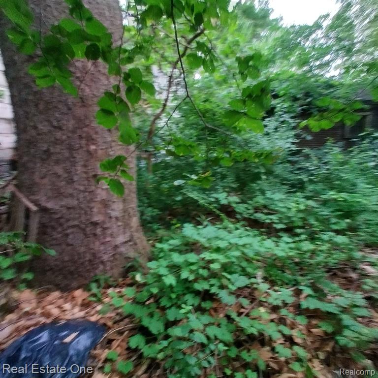 4266 WAVERLY Street, Detroit, MI 48238 — Photo 14