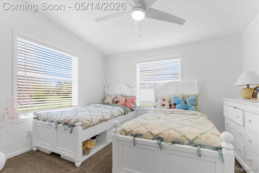 7935 Ravenswood Road, Goodells, MI — Photo 21