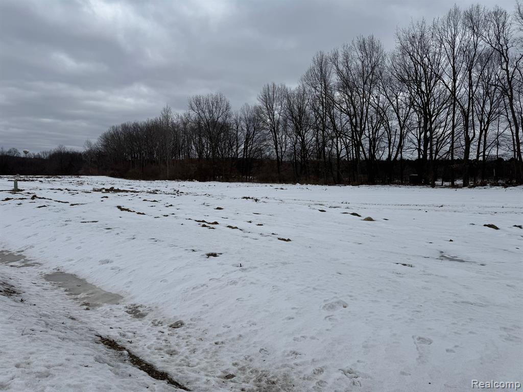 4095 Metamora Ridge, Metamora, MI 48455 — Photo 4