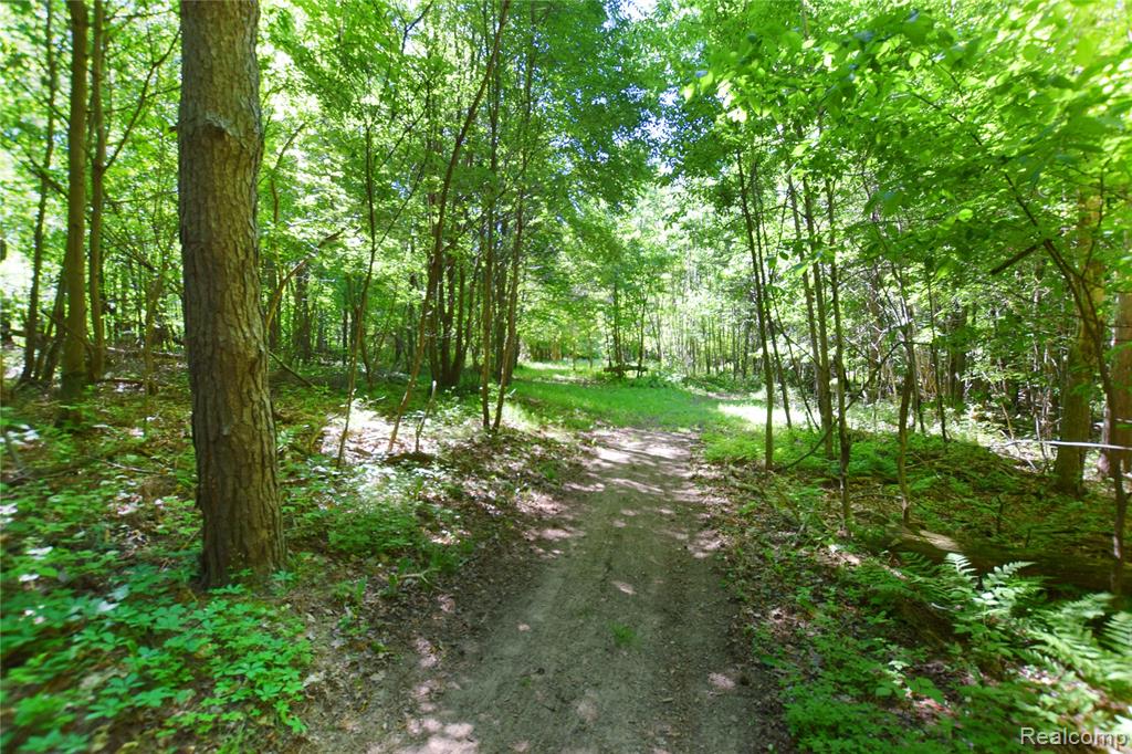 5298 Clear Lake Road, North Branch, MI 48461 — Photo 40