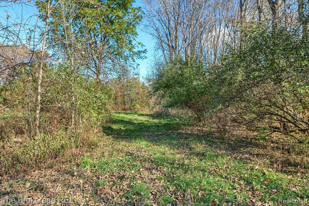 VL Janna Leigh Drive, Otter Lake, MI 48464 — Photo 15
