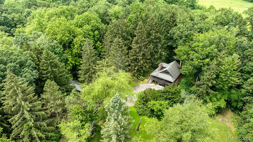 17750 DEXTER Trail, Gregory, MI 48137 — Photo 7