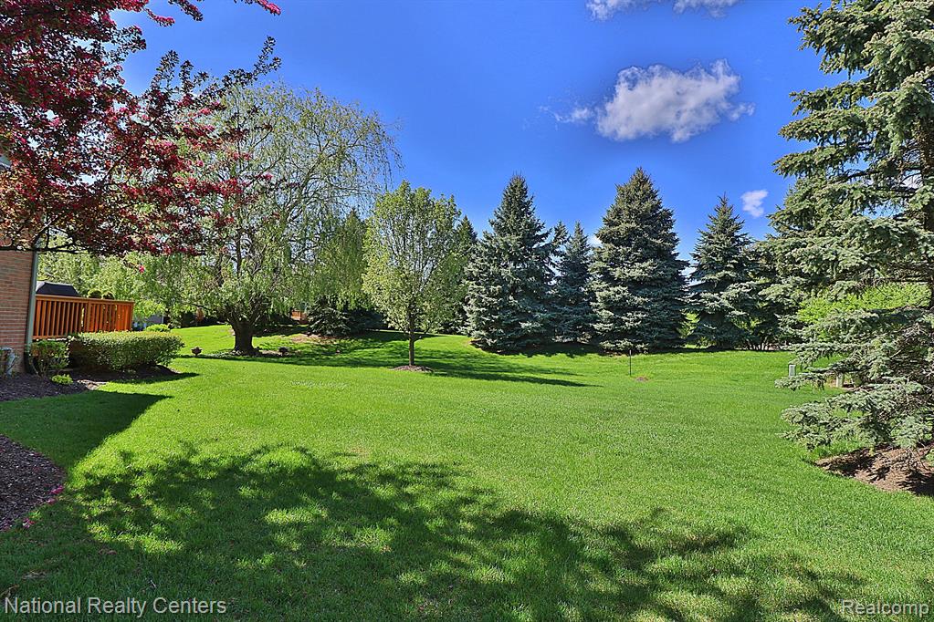 44454 BIRCHWOOD Court, Northville, MI 48168 — Photo 3