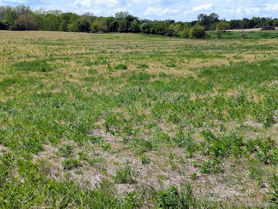Parcel D - Hogan Road, Linden, MI 48451 — Photo 16