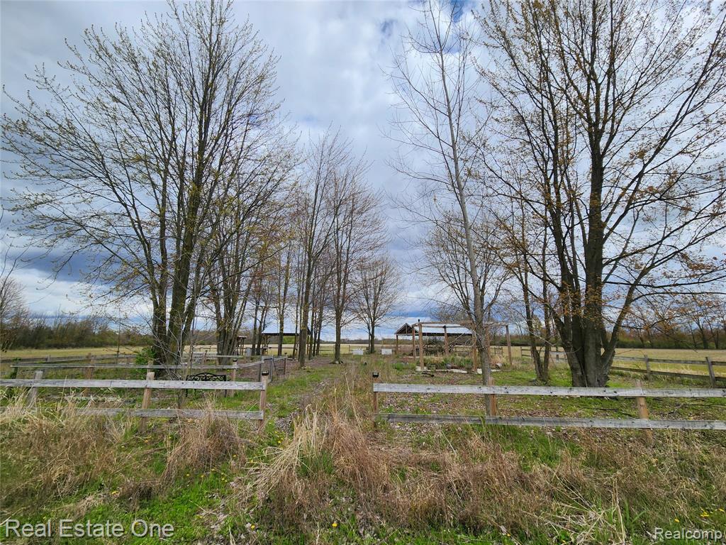 2320 Braidwood Road, Riley, MI — Photo 10