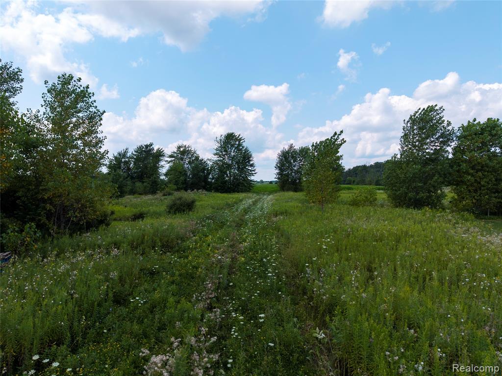 VL Sharp Road, Swartz Creek, MI 48473 — Photo 14