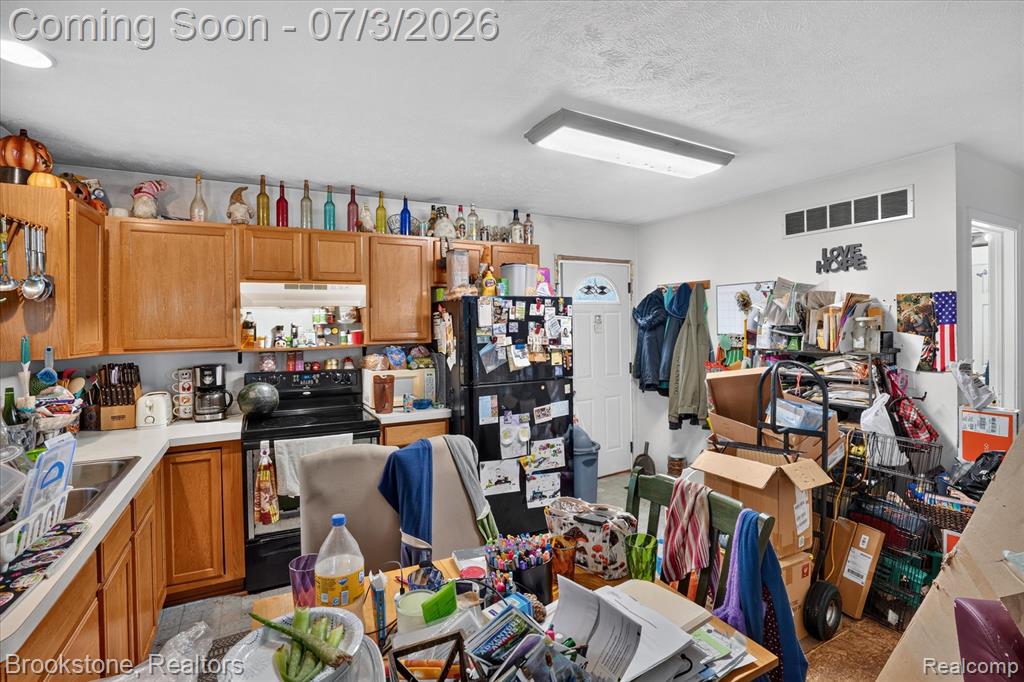 407 E Elizabeth Street, Eaton Rapids, MI 48827 — Photo 7