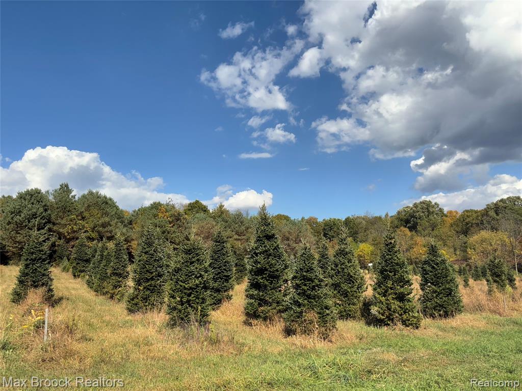 4700 Stanley Road, Columbiaville, MI 48421 — Photo 88