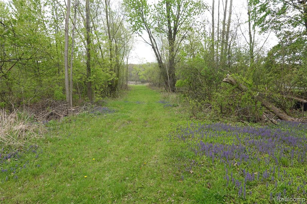 454 East Road, Holly, MI 48442 — Photo 6
