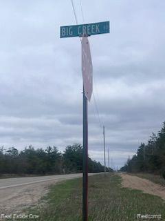 VL Big Creek Road, Johannesburg, MI 49751 — Photo 5