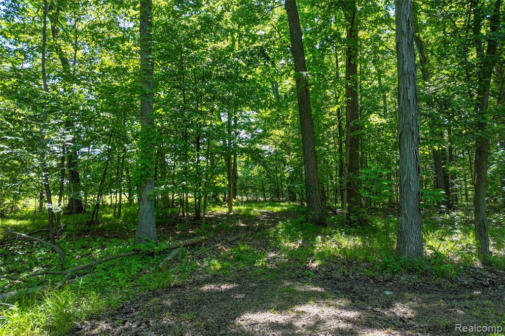 3075 Crandall Road, Howell, MI 48855 — Photo 16