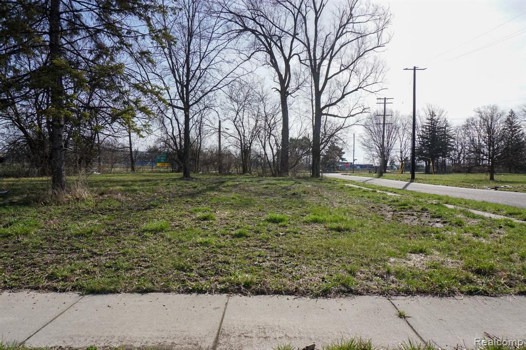 13500 PATTON Street, Detroit, MI 48223 — Photo 2