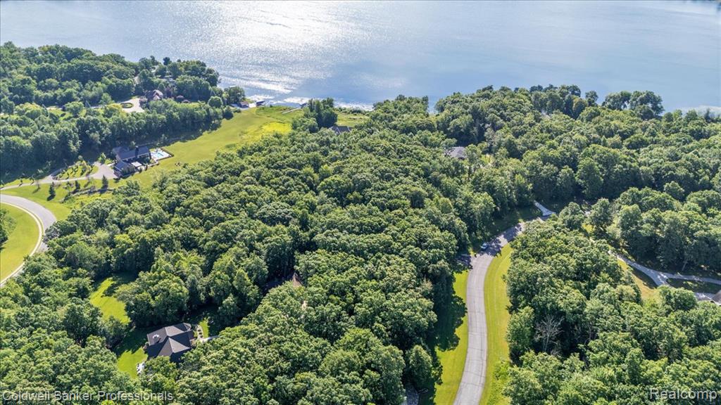 4359 Longview Drive, Lapeer, MI 48446 — Photo 71