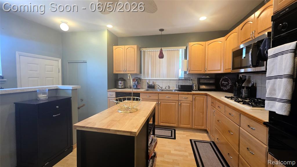 16017 Chestnut Street, Roseville, MI 48066 — Photo 15