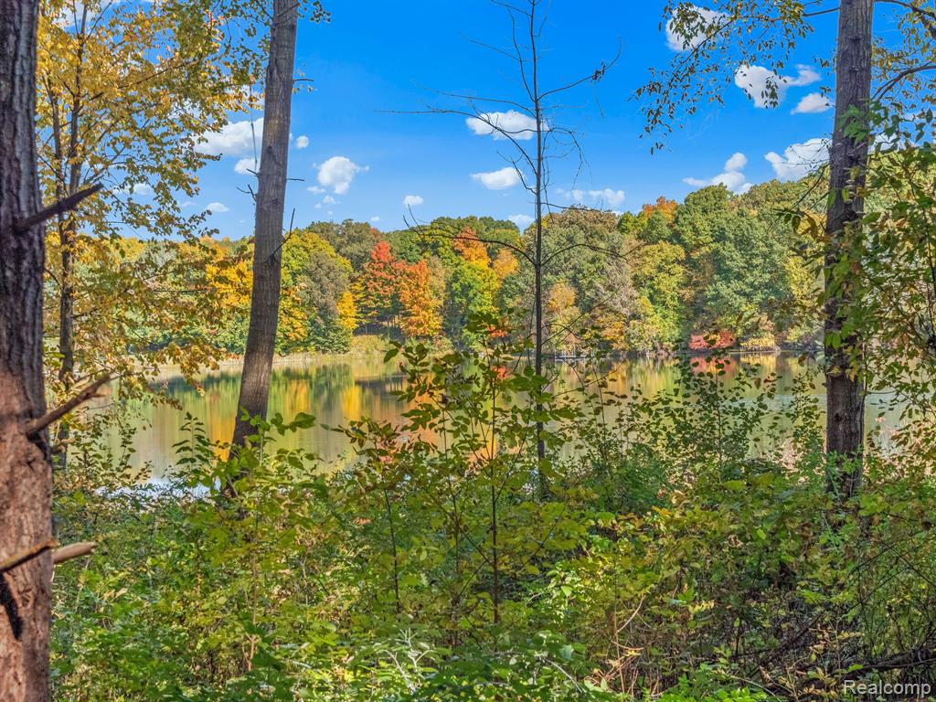 4695 Waterwood Way, Howell, MI 48855 — Photo 10